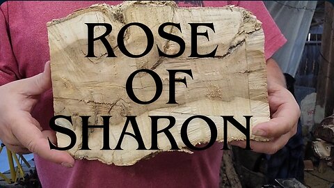 Rose Of Sharon - Part 2