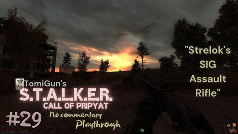 S.T.A.L.K.E.R. Call of Pripyat #29: Strelok's SIG Assault Rifle