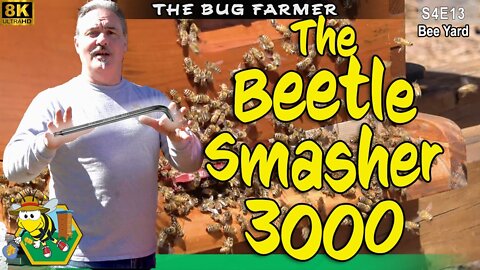 The Beetle Smasher 3000 | 2022 Beetle Battle Begins!