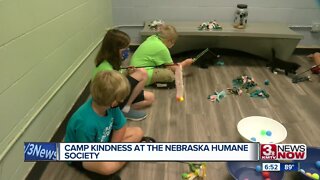 Camp Kindness at Nebraska Humane Society