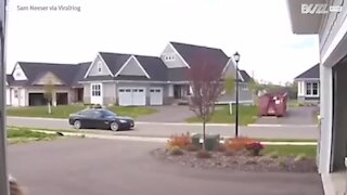 Motorista idoso colide contra poste da vizinha