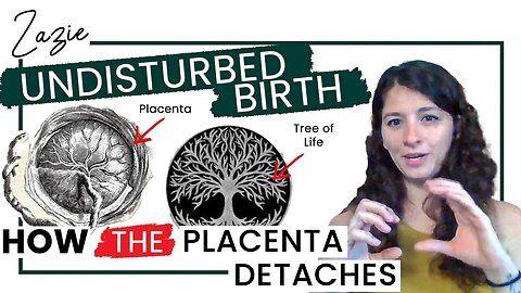 What Makes The Placenta Detach After Birth?