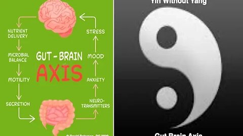 Challenging the Gut Brain Axis: Why We Need to Rethink Its Influence