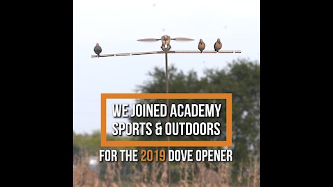 Texas Dove Opener With Academy Sports & Outdoors