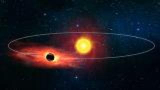 Black Hole Orbiting Be-star