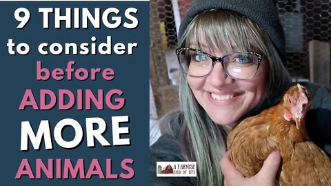 9 Things to Consider Before Adding More Animals