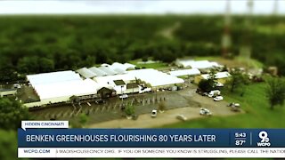 Hidden Cincinnati: Benken Greenhouses continue to flourish as family business after 80 years