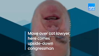 Move over cat lawyer, here comes upside-down congressman