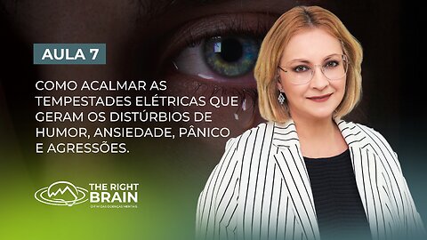 Aula 7/7 – Tempestades Elétricas que Geram os Distúrbios de Humor, Ansiedade, Pânico e Agressões