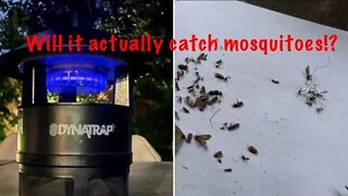 Dynatrap Mosquito trap. Does it actually catch any mosquitoes?