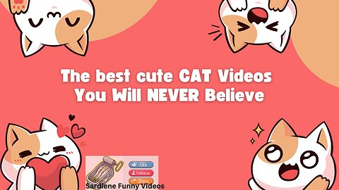 #003 The best cute CAT Videos - You will NEVER believe