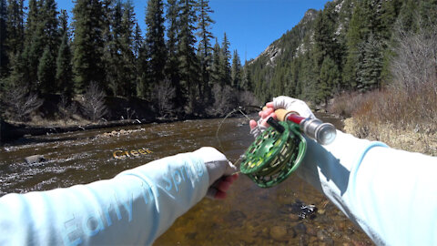 Early Spring, Creek Fishing! - Beautiful place! - McFly Angler Episode 46