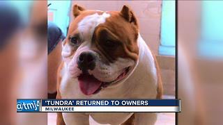 Family reunited with stolen dog