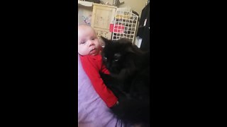 This Super Sweet Kitty Preciously Cuddles With A Newborn Baby!