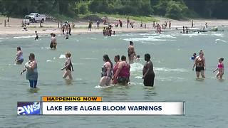 Several beaches under advisory due to algal blooms, bacteria levels