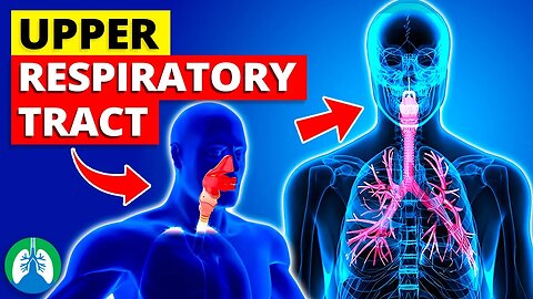 Upper Respiratory Tract - *Quick Explainer Video*