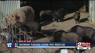 Woman taking over pig rescue