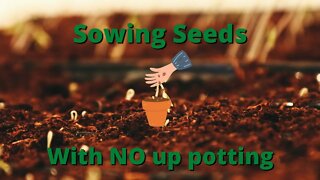 Sowing seeds with no up potting!
