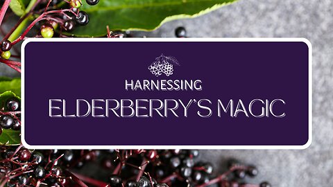 Elderberry's Power to Heal: Tiny Berry - Huge Health Benefits