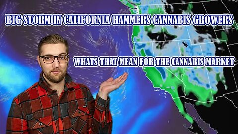 CANNABIS NEWS 1-15-2023 ( High winds and flooding shutter cannabis operations across California )