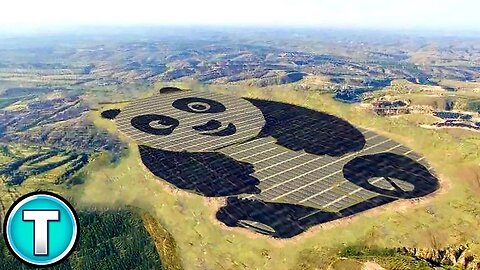 Panda Shaped Solar Farm