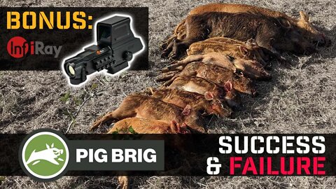 Success and Failure with the Pig Brig | Introducing the InfiRay FAST ThermalPlus Hybrid Reflex Sight