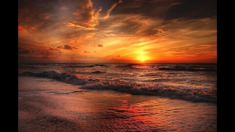 The Beauty of Beach and Nature at Sunset