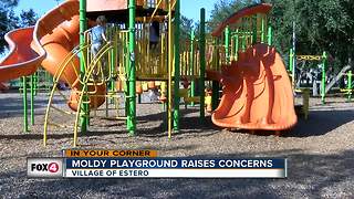 Moldy Playground Raises Concerns