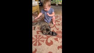 Baby Girl Abrupted by Cat Interupted