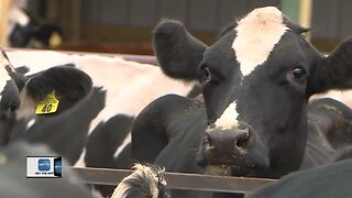 Local dairy farmer not listening to Ag Secretary's comments