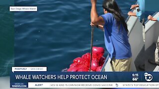 San Diego whale watchers help protect ocean