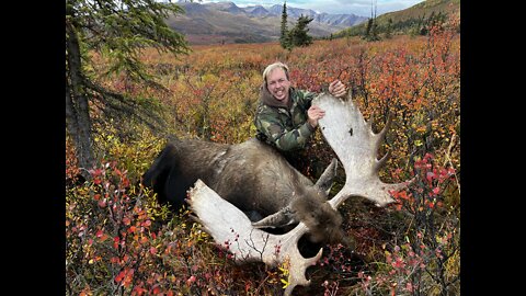 Moose Hunting Alaska Self Guided Hunt