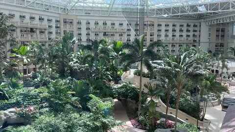 Inside is Outside at the Gaylord Palms. Elevated with an Atrium View.