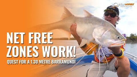 Net Free Zones Work! Fishing the Fitzroy in Rockhampton in our quest for a 1.30 metre barramundi!