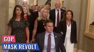 Active GOP Revolt Against Pelosi: Mass Protest of Capitol Mask Mandate/ARREST Order