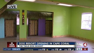 Tiki Tails Dog Resort opening in Cape Coral 8:30 a.m.