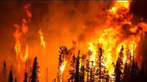 Russia on fire: the forests of Yakutia are burning