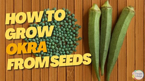 How to Plant Okra Seeds: The Easiest Way to get Great Results