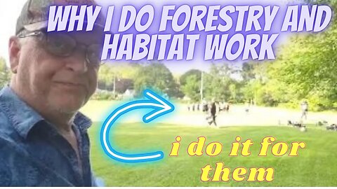 What is Your Why? (why I do forestry and habitat work)