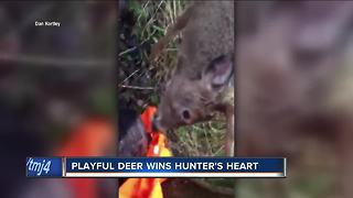 Janesville hunter's encounter with friendly buck goes viral