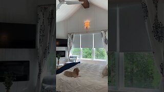 Automatic Blinds