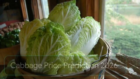Cabbage Price Prediction 2022, 2025, 2030 CAB Cryptocurrency Price Prediction