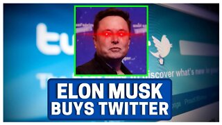 Elon Musk BUYS Twitter!!! (Based)