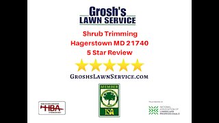 Shrub Trimming Hagerstown MD Review Video 5 Star