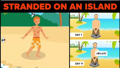 How to survive on a Stranded Island!