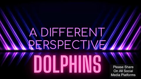 Dolphins via Erena Velazquez | February 12, 2024