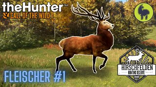 The Hunter: Call of the Wild, Fleischer #1 Hirschfelden (PS5 4K)