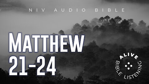 Matthew 21-24 | Alive Bible Listening