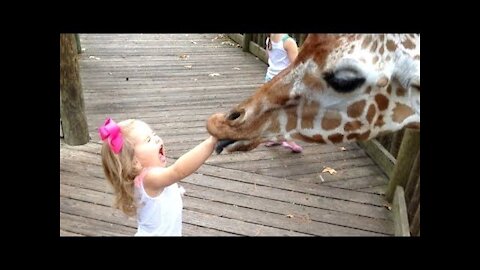 Funny KIDS vs ZOO ANIMALS are WAY FUNNIER! - TRY NOT TO LAUGH