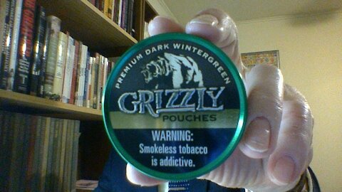 The Grizzly Dark Wintergreen Pouches Review